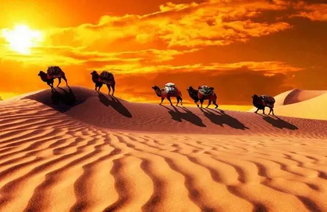 屬于我們的“絲綢之路”