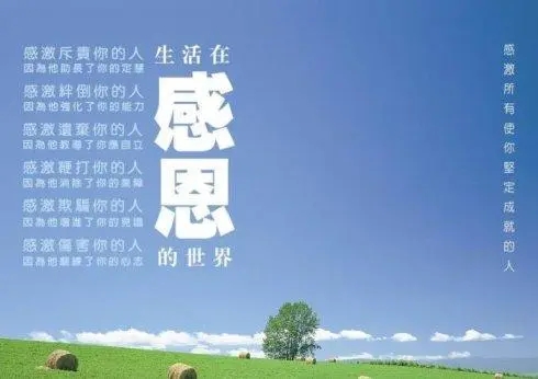 죬`Сж֪؟ɼО顱ˆ᣿