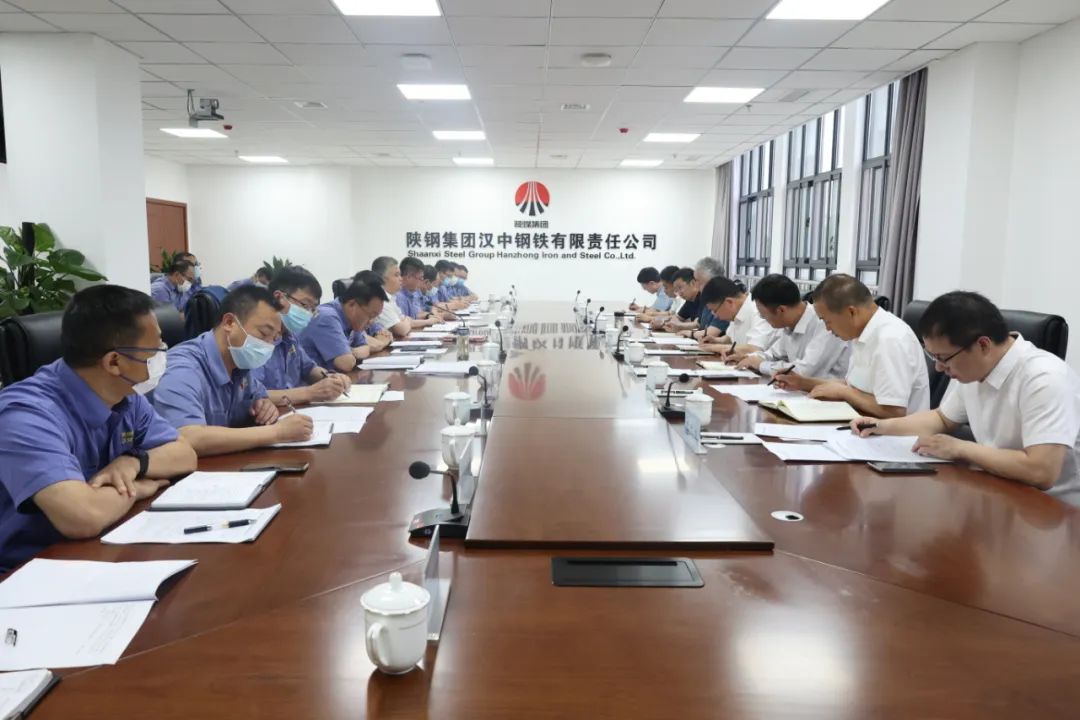 楊海峰到漢鋼公司調(diào)研指導工作
