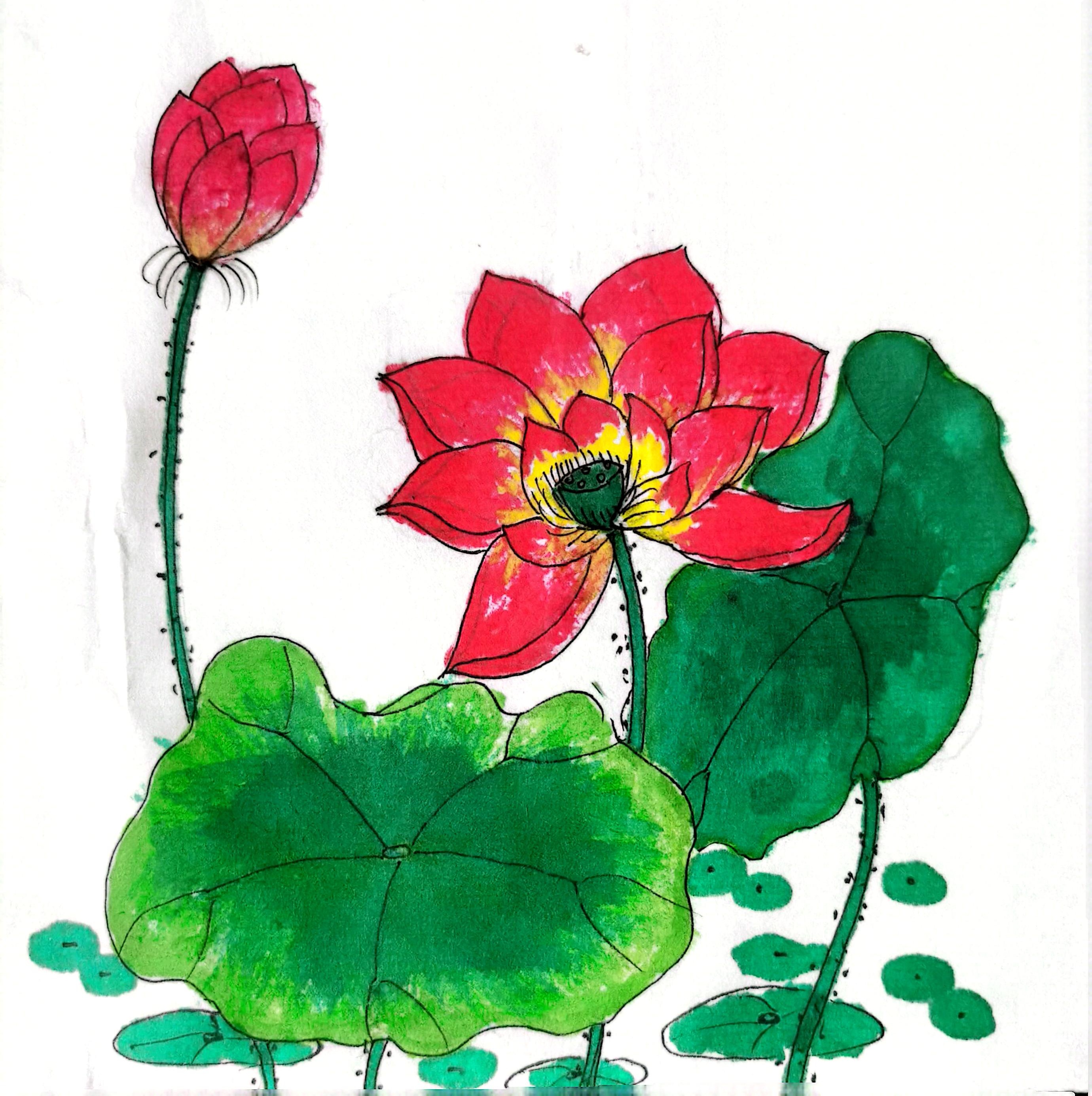 �������f����  �^����ҲҪ�Ѓ�����