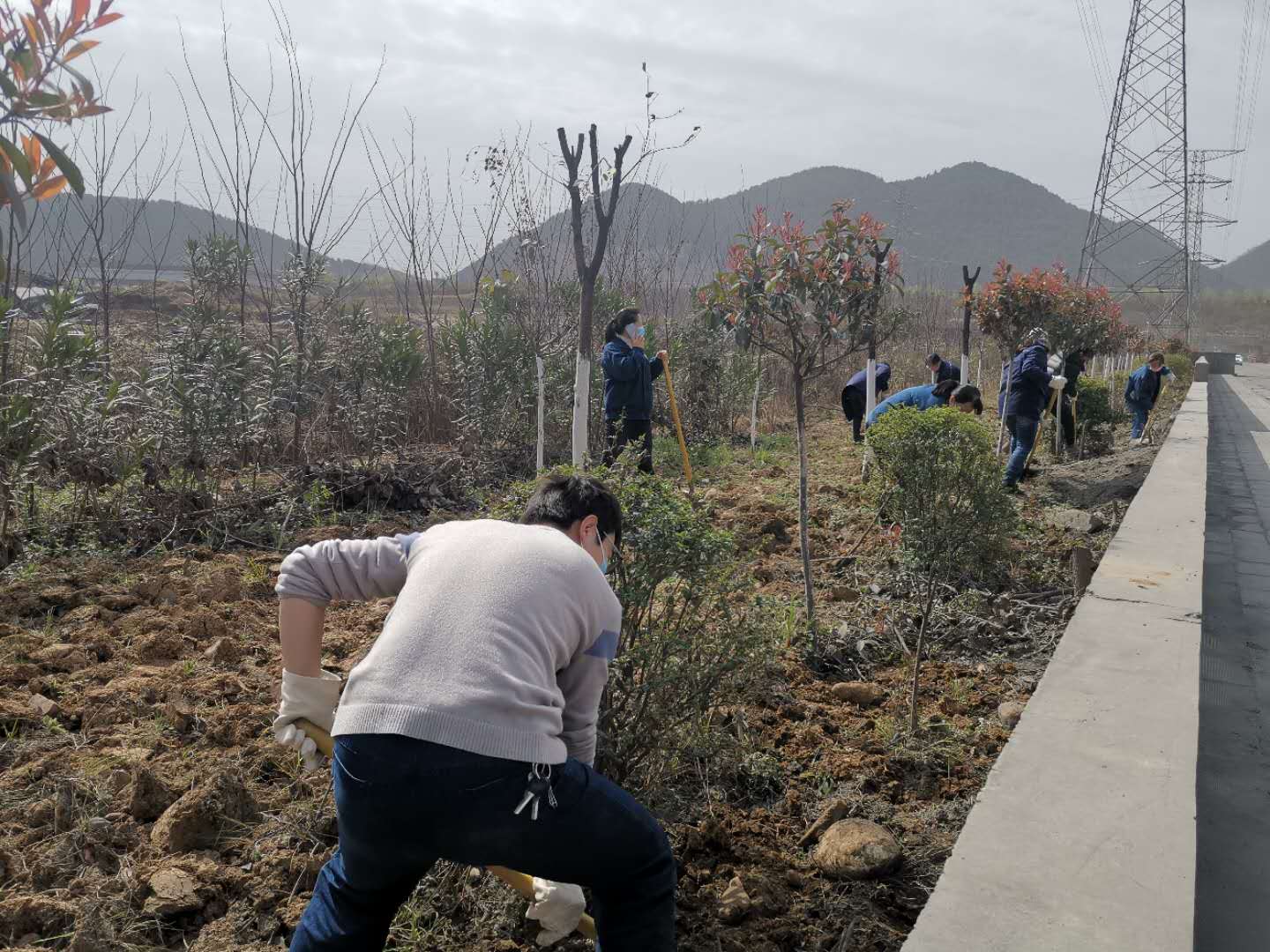 【美麗漢鋼】公司春季綠化美化工作開(kāi)展如火如荼